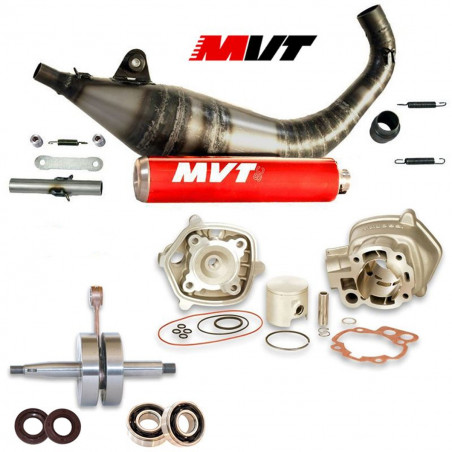 Pack Moteur & Pot AM6 80cc - MALOSSI MHR, MVT