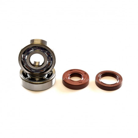 Kit Roulements C4 + Joints Spi AM6 - BIXESS