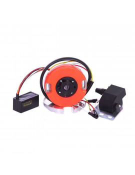 allumage-dirt-bike-pit-bike-4t-mvt-digital-direct-dd-24-rotor-interne-avec-lumiere