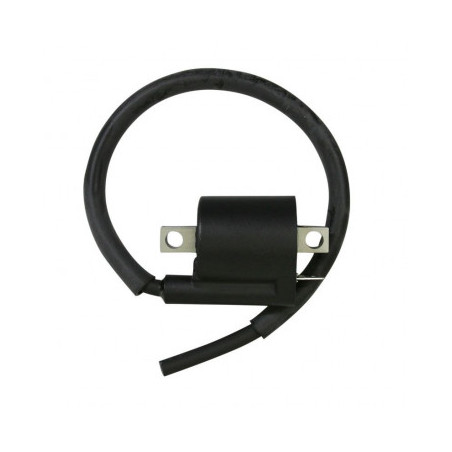 BOBINE HAUTE TENTION ALLUMAGE ORIGINE PIAGGIO APRILIA 50 RALLY, GULLIVER, SONIC, AMICO 