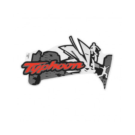 AUTOCOLLANT/STICKER/DECOR ORIGINE PIAGGIO 50 TYPHOON 2018/ VEHICULES BLANC 544 OU JAUNE 979/A 