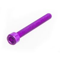 Vis M6x55 Most aluminium violet