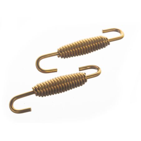 Ressort de pot pivotant Most inox 58mm Or (x2)