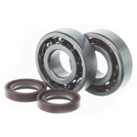 Kit rodamientos cigüeñal MOST 6204 C3 Peugeot Ludix con retenes Viton