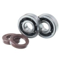 Kit rodamientos cerámicos & retenes MOST Minarelli AM6 – 6303 C3