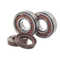 Kit de rodamientos y juntas cigüeñal Most Minarelli AM6 FAG Celeron 6204 C3 Viton