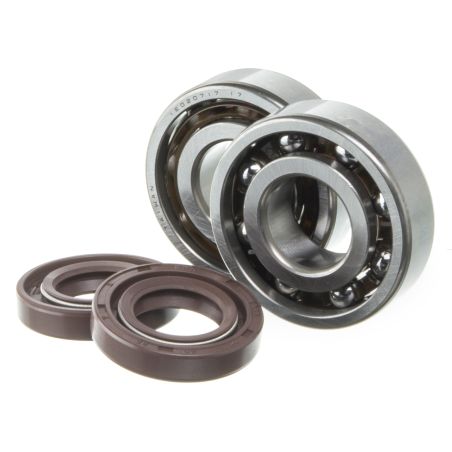 Kit roulement et spi de vilebrequin Most Derbi (6204 C4)