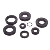 Pochette de joint spi Watts Minarelli AM6