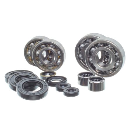 Kit completo de rodamientos y retenes para motor Derbi