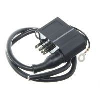Caja CDI y bobina WATTS Performance Derbi / AM6 (Ducati)