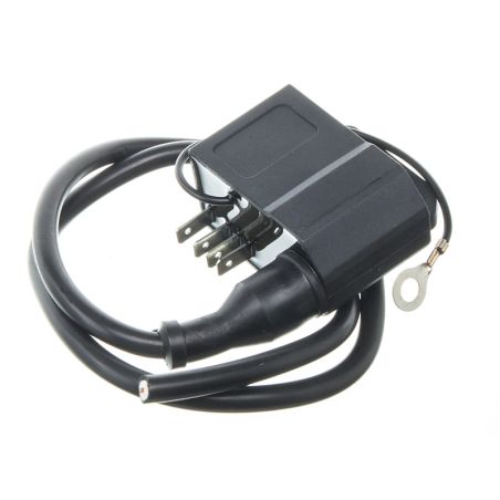 Caja CDI y bobina WATTS Performance Derbi / AM6 (Ducati)