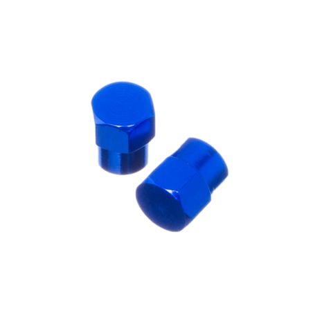 Bouchon de valve Watts aluminium hexagone Bleu