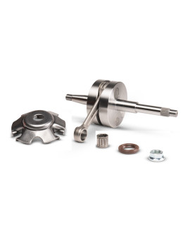 Vilebrequin Malossi MHR Team course 47 Bielle 100 axe 14mm carter RC ONE