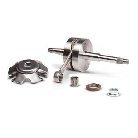 Vilebrequin Malossi MHR Team course 47 Bielle 100 axe 14mm carter RC ONE
