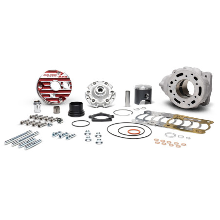 Kit cylindre 100cc Malossi MHR Testa Rossa FL pour carter RC ONE
