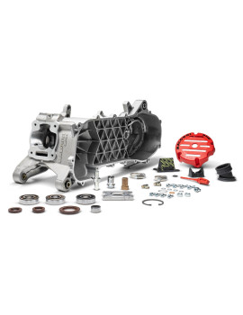 Carter moteur Malossi MHR 100cc RC ONE Piaggio