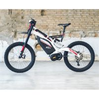 Bicicleta eléctrica BRAIH RC1 R-1000 M /L