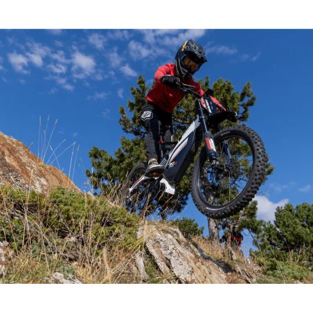 Vélo électrique BRAIH RC1 R-1000 M /L
