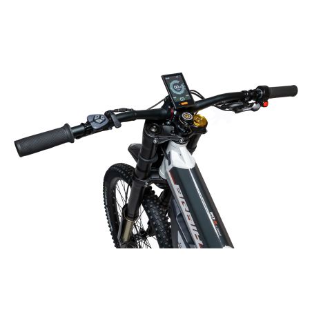 Vélo électrique BRAIH RC1 R-1000 M /L