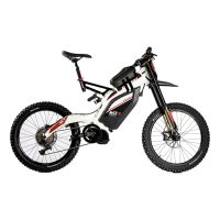 Bicicleta eléctrica BRAIH RC1 R-1000 S/M
