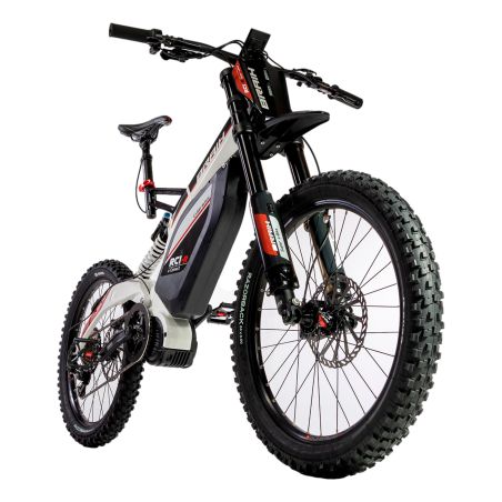 Bicicleta eléctrica BRAIH RC1 R-1000 S/M