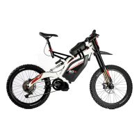 Bicicleta eléctrica BRAIH RC1-R250 Talla S/M