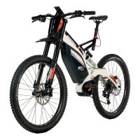 Bicicleta eléctrica BRAIH RC1-R250 Talla L /XL
