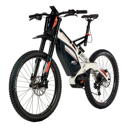 Vélo électrique BRAIH RC1-R250 L /XL