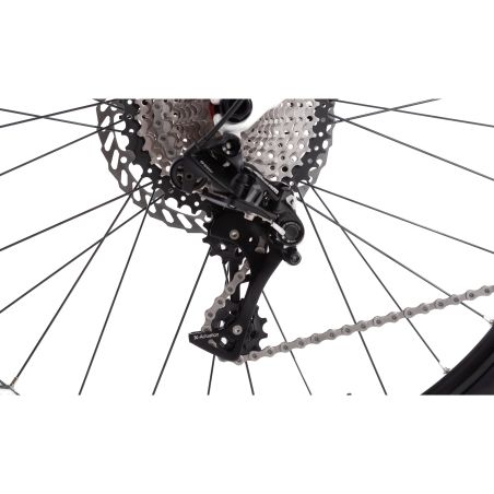 Vélo électrique BRAIH RC1-R250 L /XL