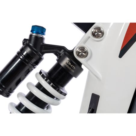 Vélo électrique BRAIH RC1 250  S /M