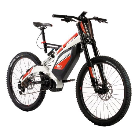 Vélo électrique BRAIH RC1 250  M /L