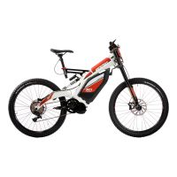 Bicicleta eléctrica BRAIH RC1 250  M /L