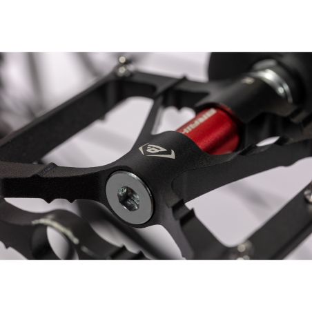 Vélo électrique BRAIH RC1 250  M /L