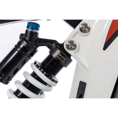 Bicicleta eléctrica BRAIH RC1 250