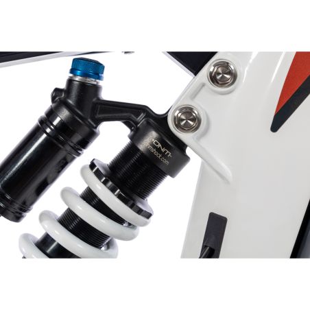 Vélo électrique BRAIH RC1 250  L /XL