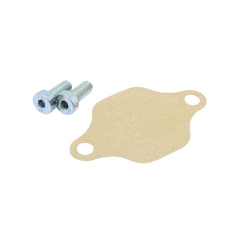 Obturateur de pompe à huile KRM Derbi/ AM6 rose
