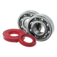 Kit roulement et spi rouge de vilebrequin Watts MBK Booster et Nitro