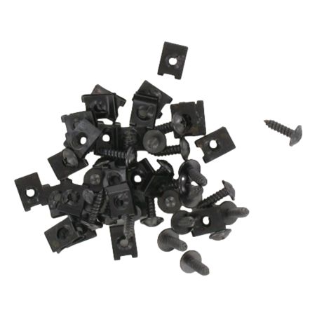 Agrafes et vis de carrosserie 4mm noire X25