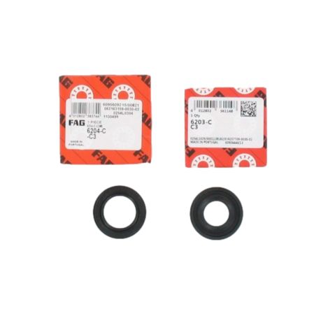 Kit roulements moteur Fag Peugeot 103