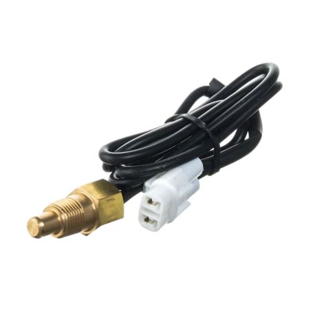 Sonde de température cylindre Watts M10x1,00