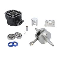 Pack motor Polini para Derbi Euro 3