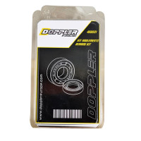 Kit Roulement et Spi DOPPLER Origine ER1 AM6 - 6303 C3 / 6204 C4 SKF