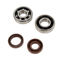 Kit Rodamiento y Retenes DOPPLER Origine ER1 AM6 - 6303 C3 / 6204 C4 SKF