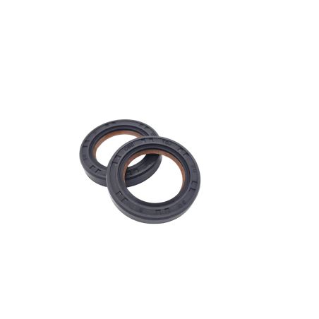 Retén radial Bouchet Engineering de teflón 20X30X5