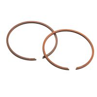 Segments Barikit 46 mm 1.5 mm avec ergot central vendus par paire