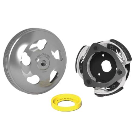 Embrague Malossi Maxi Delta System Honda Forza 125