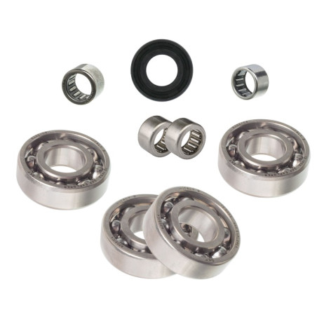 Kit mantenimiento caja de cambio Minarelli AM6 SKF / INA - RSM