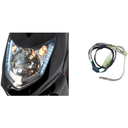 Ampoule de feux dirigé 12V 2 pièces