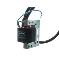 Bobina de alta tensión encendido PVL Most Racing 264g