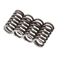 Muelles embrague Most Racing AM6